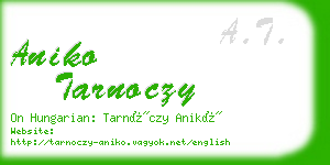 aniko tarnoczy business card